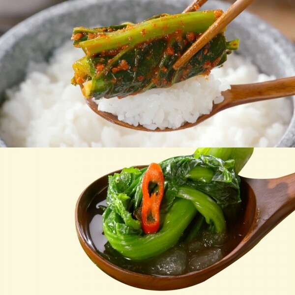 STAR PLANET SHOP,[국내산] 이인화 명인 여수 돌산 갓으로 만든 김치 4kg+갓물김치 1kg