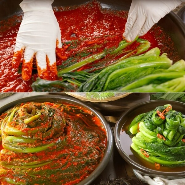 STAR PLANET SHOP,[국내산] 이인화 명인 여수 돌산 갓으로 만든 김치 4kg+갓물김치 1kg