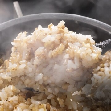 [고품질] 하이칸 유기농 상황버섯 발아현미 우리 농산물 발아 현미쌀